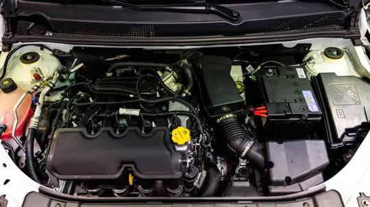 Mäuse im Auto: Gefahren, Reinigung und Vorbeugung