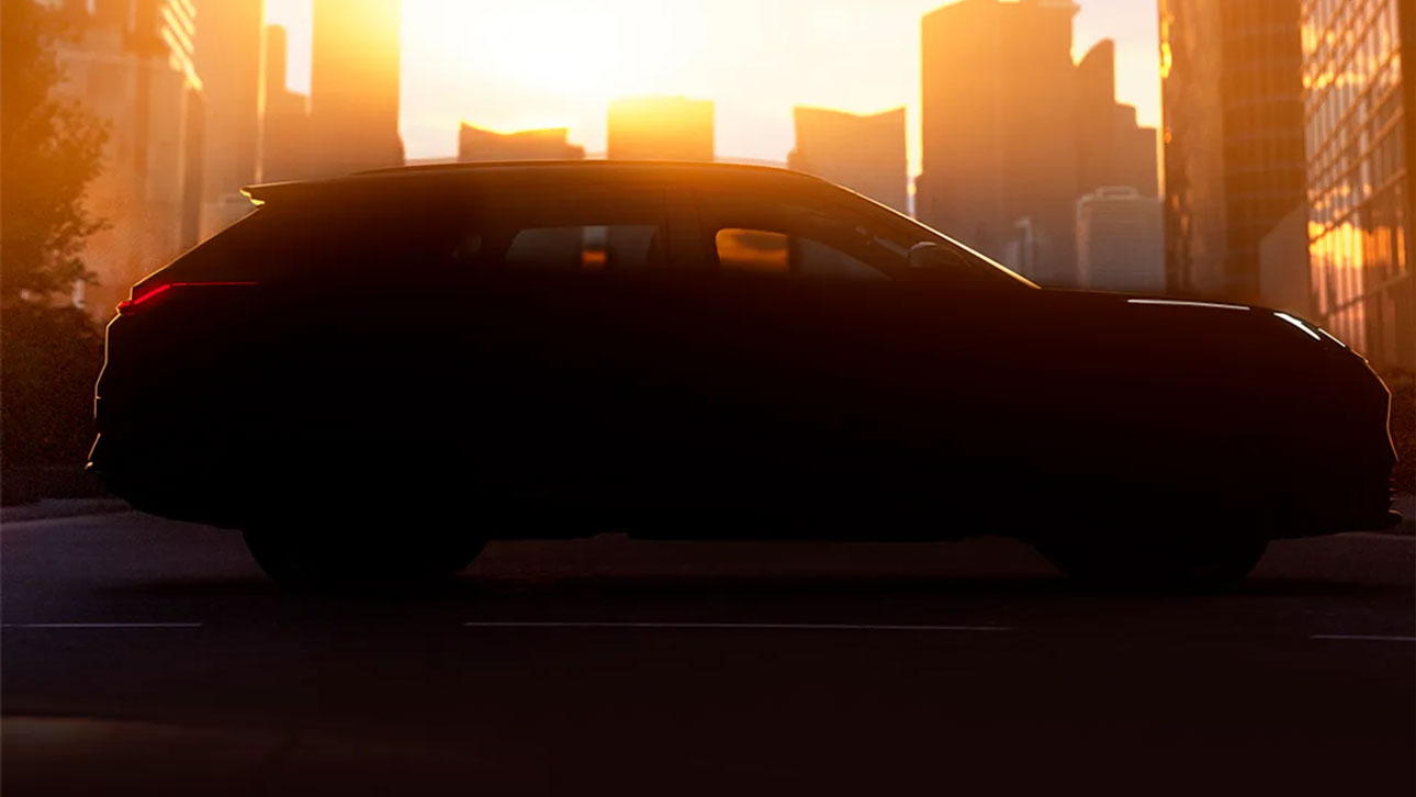 lynkampCo1