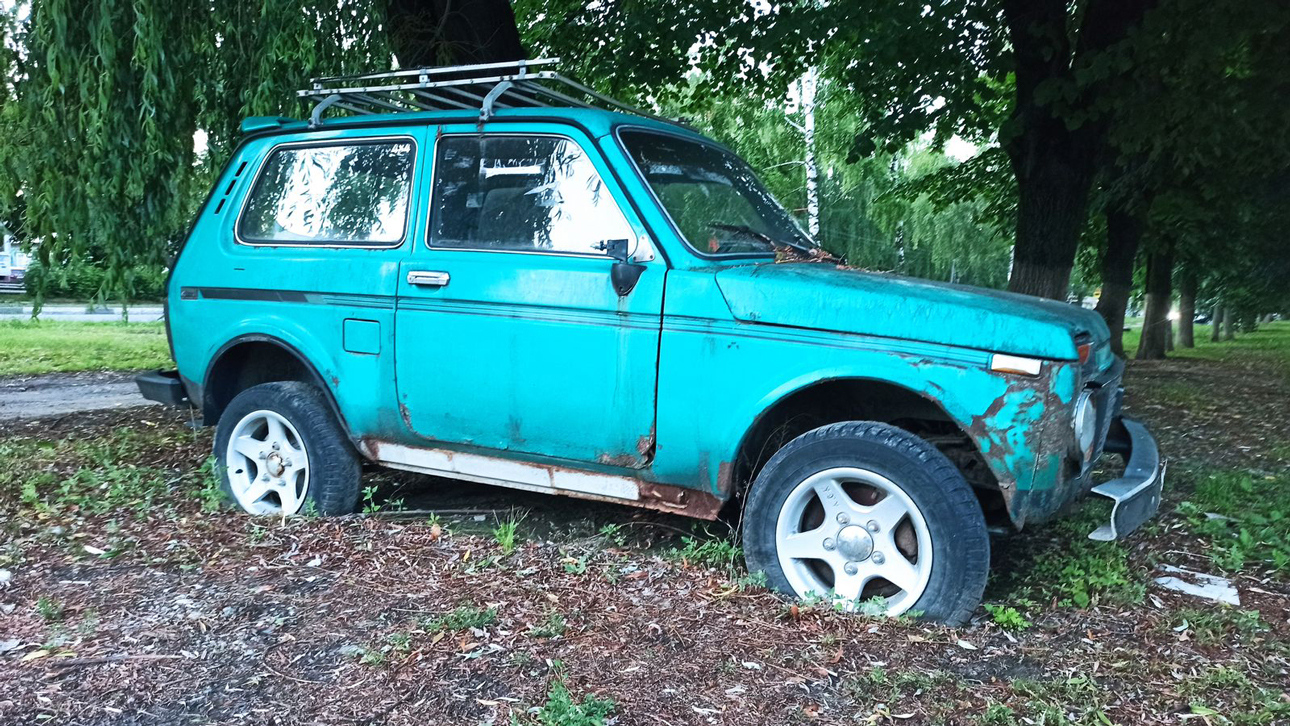 niva