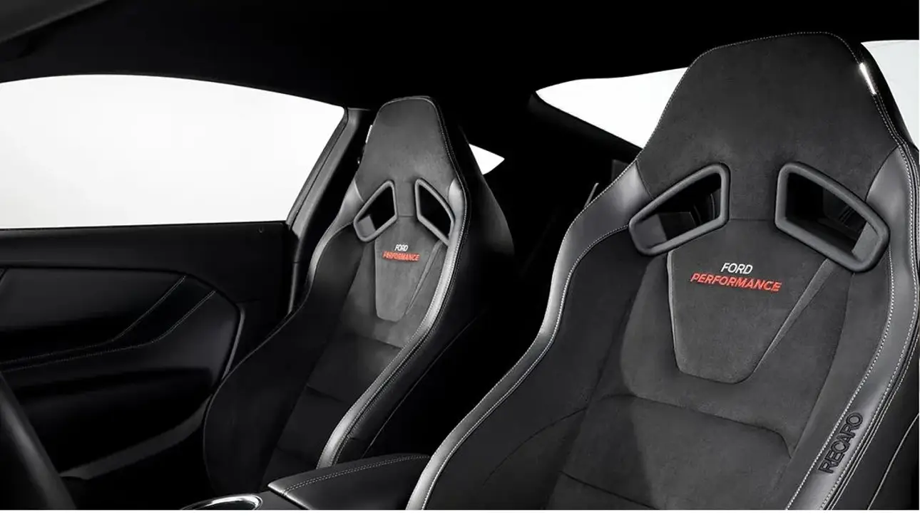 Mustang FP800S Bronze Magneride