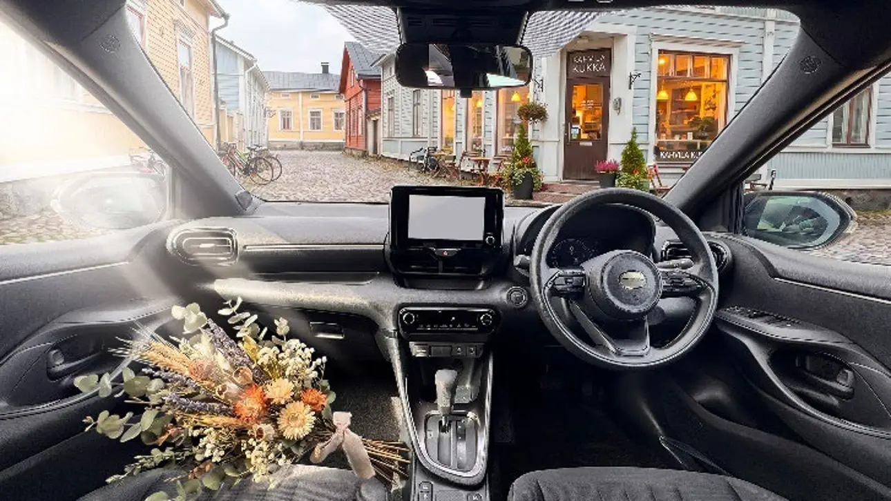 Mitsuoka Viewt Story