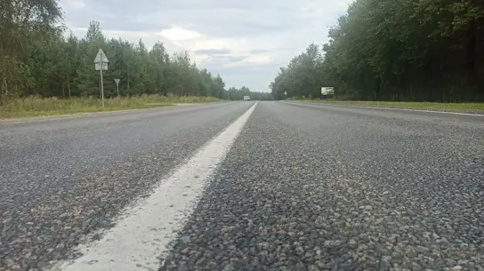 Гон лосей в 2026 году: когда опасный период и как водителям вести себя на дороге