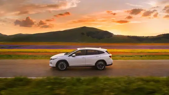 Всего 20 мм — и Subaru уже не SUV: странное правило сработало на Layback