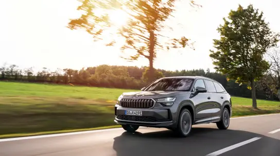 Лошадей добавили, секунды потеряли: любимый россиянами кроссовер от Skoda удивил цифрами