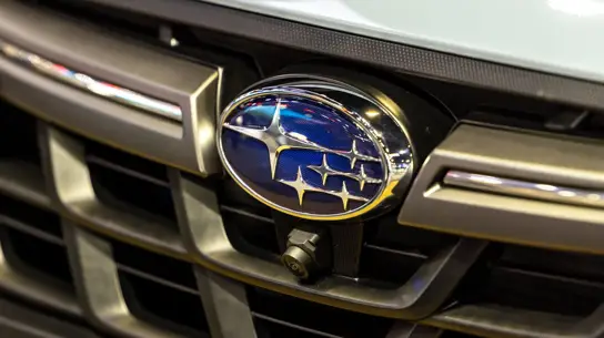 Автозавод с дикой природой: как Subaru совместила производство и среду для животных