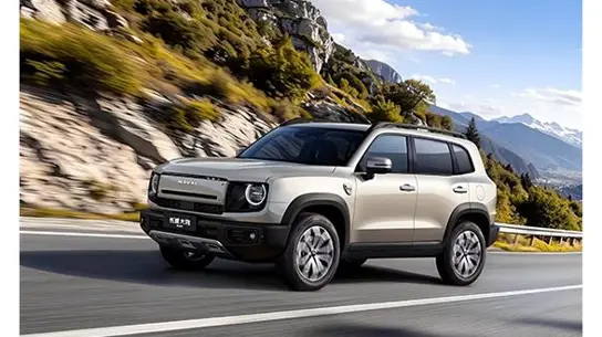 248 сил и 6,6 секунды: в Китае переделали знакомый Haval Dargo